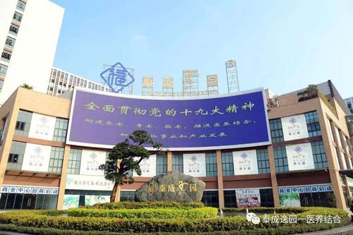 廣東泰成逸園養(yǎng)老有限公司格力中央空調安裝案例.png